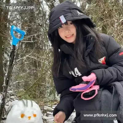 陆冶书