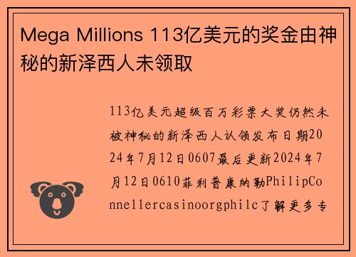 Mega Millions 113亿美元的奖金由神秘的新泽西人未领取